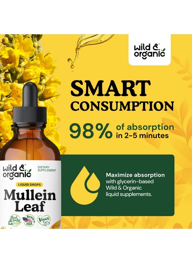 Wild & Organic Wild & Organic Mullein Tincture - Lung Cleanse and Detox - Liquid Mullein Leaf Extract for Lungs - Verbascum Thapsus Drops - Vegan, Sugar & Alcohol-Free Supplement - 4 fl oz  - Image 4