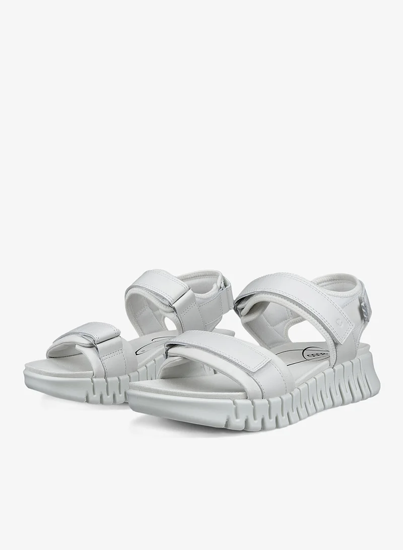 إيكو إيكو جروف سول دبليو أبيض