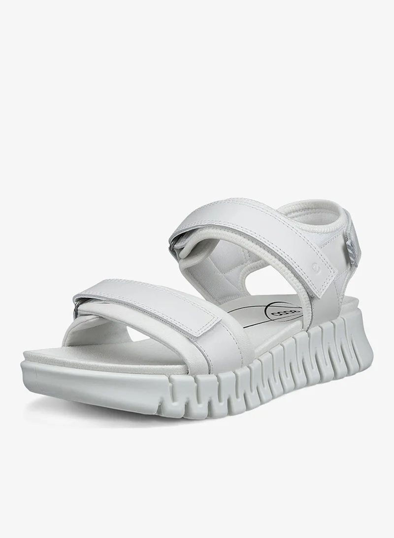 إيكو إيكو جروف سول دبليو أبيض