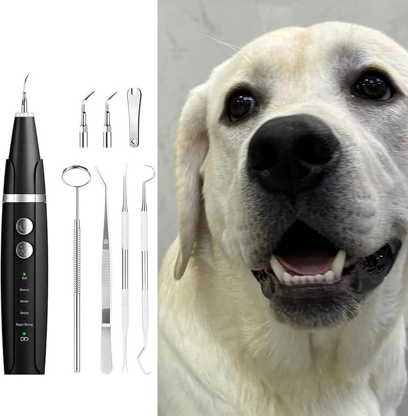 Ultrasonic Dog Teeth Cleaning Kit with Tweezers Plaque Tartar Remover Travel Toothbrush - Image 3