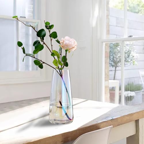 Clovefry 9 Inch Decorative Vases for Flowers | Glass Flower Vase for Living Room | Aesthetic Home Decor | Glass Planter for Living Room Decor, Dining Table, Wedding Decoration (Multicolor) - Image 3