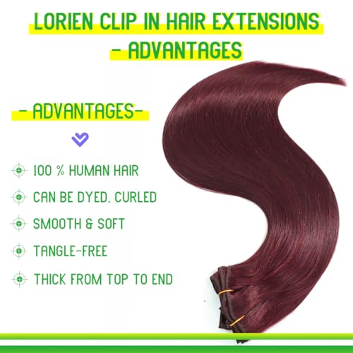 LORIEN Clip in Hair Extensions Real Human Hair, 18 Inch 100g, 99J Burgundy, Clip in 100% Brazilian Remy Human Hair Extensions 8pcs Per Set with 18 Clips Double Weft - Image 2
