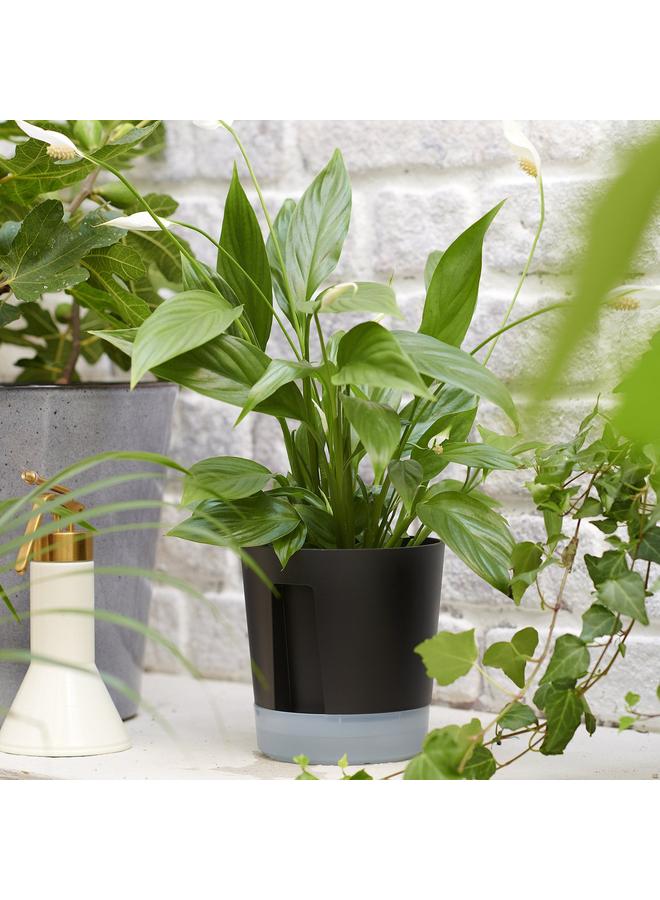 erorex Self-Watering Plant Pot, In/Outdoor Transparent/Anthracite, 12 Cm - Image 3