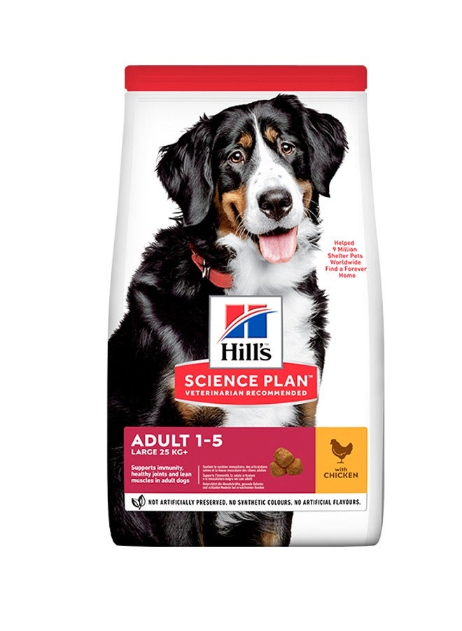 Large Breed Adult Dog Food With Chicken - 2.5kg