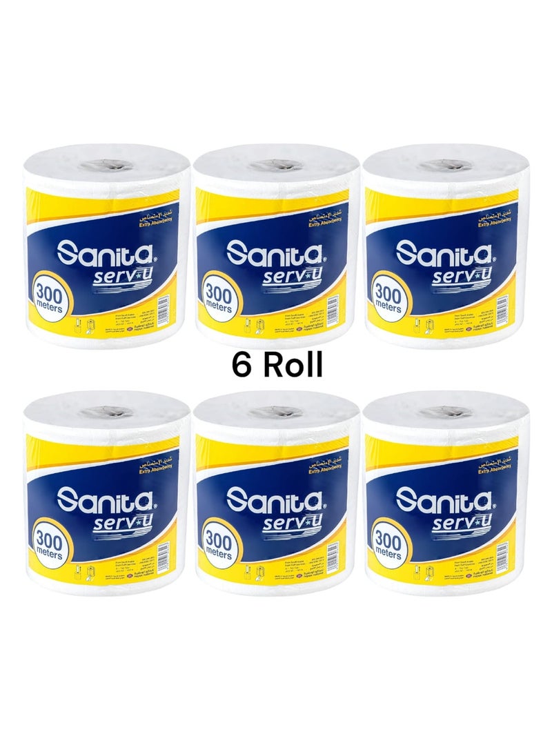Sanita Highly absorbent roll tissues 300 meters * 6 rolls 