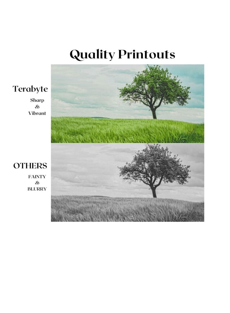 Terabyte GPR23/NPG35/EXV21 ( 4COLORS) COMPATIBLE TONER TERABYTE - Image 2