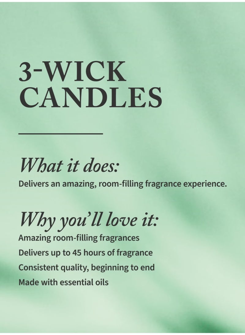 Bath & Body Works شمعة فوريڤر ريد 3 فتيلة - Image 2
