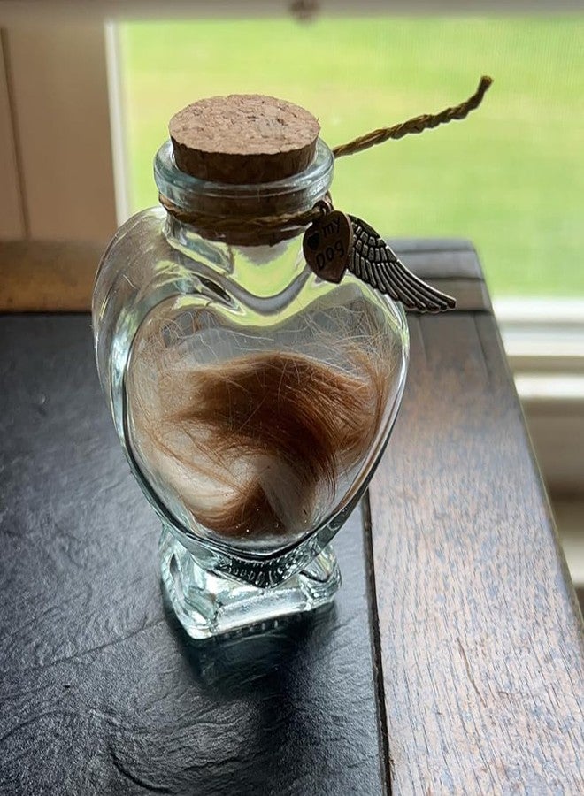 Memorial Bottle for Pet Hair, Pet Fur Keepsake, Shadow Box for Dog Memorial, Dog Urns for Ashes, Gifts for Loss - Image 5