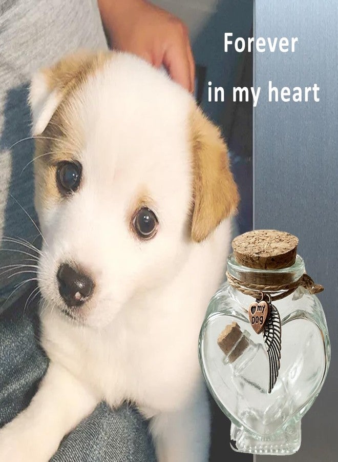 Memorial Bottle for Pet Hair, Pet Fur Keepsake, Shadow Box for Dog Memorial, Dog Urns for Ashes, Gifts for Loss - Image 4