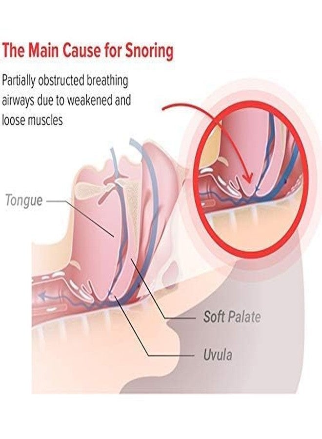 VALUEVIBES Snoring Relief Nasal Strips,Snoring Stopper, Nose Strips for Snoring & Sleep Quality for a Peaceful Night, Instant Snoring Relief -26 Count - Image 4