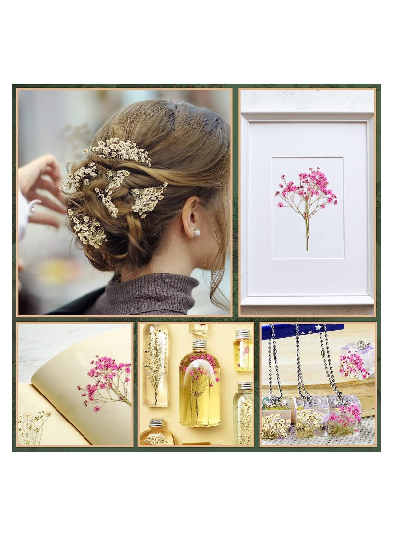 Excefore Mini Dried Baby's Breath Flowers for Resin Art Craft DIY for DIY Crafts Nail Art Candle Soap Making Phone Case Jewelry Pendant Floral Decors - Image 5