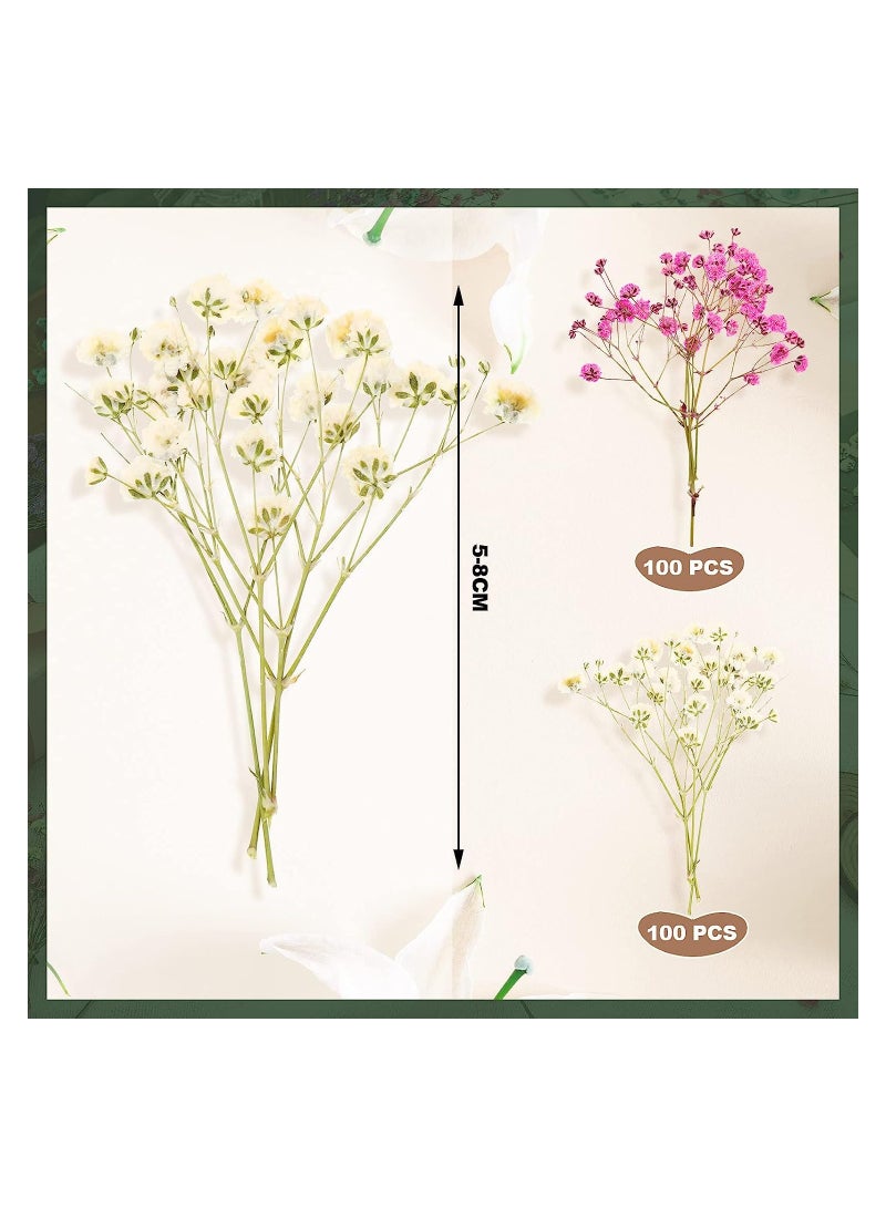Excefore Mini Dried Baby's Breath Flowers for Resin Art Craft DIY for DIY Crafts Nail Art Candle Soap Making Phone Case Jewelry Pendant Floral Decors - Image 4