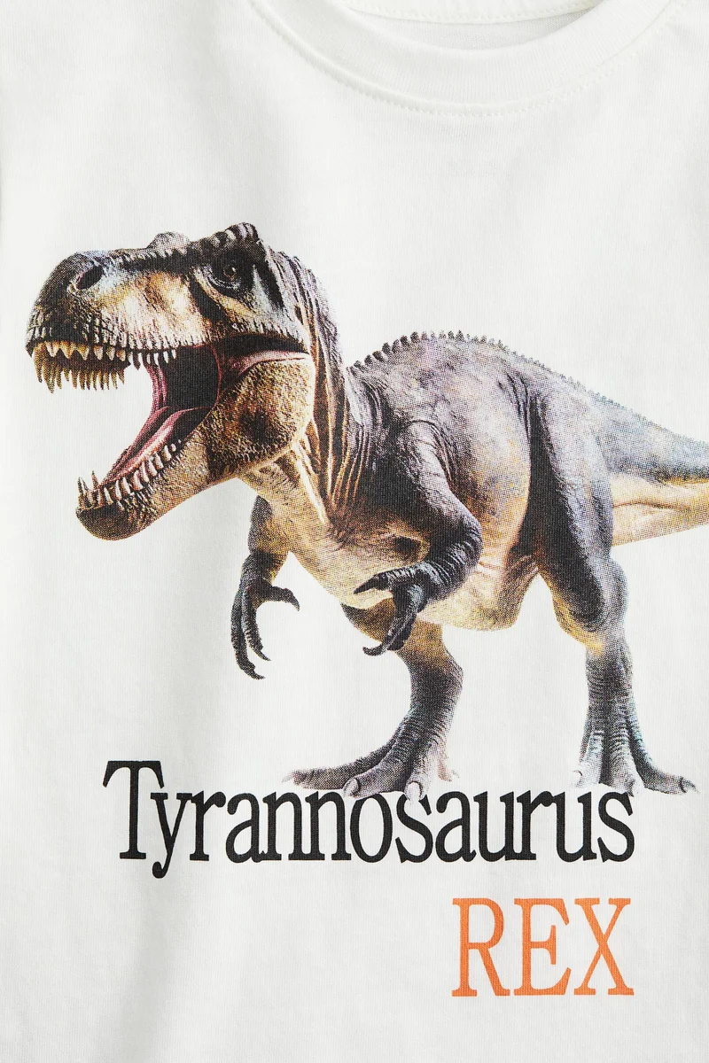 اتش اند ام Printed T-shirt