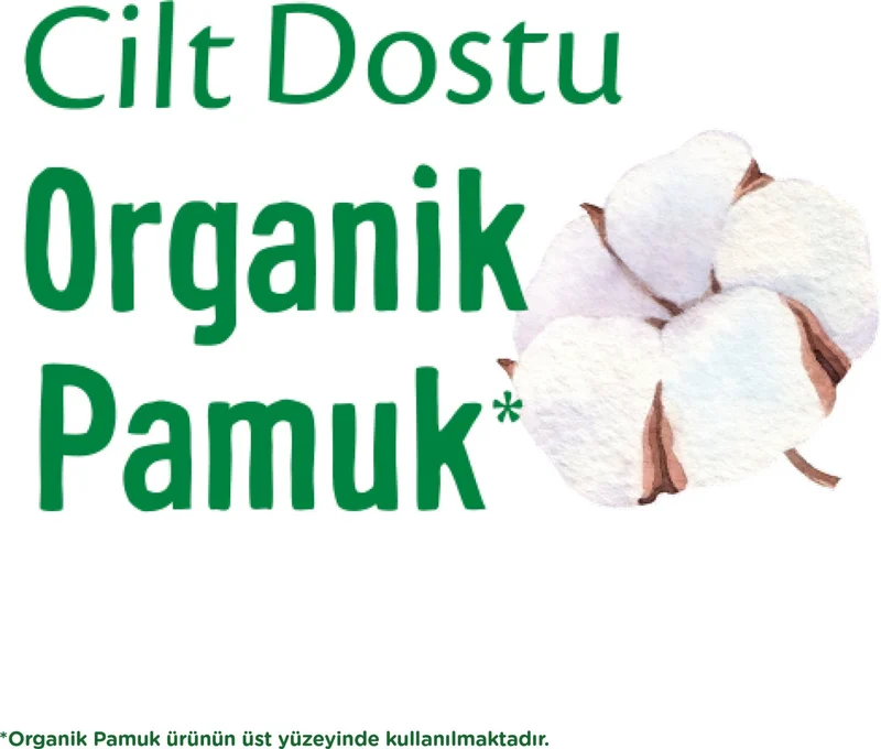 Molped Ultra Pad Pure&soft 24 Lu Normal
