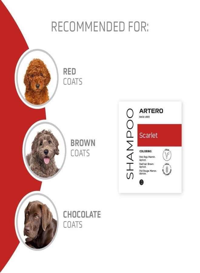 Artero Scarlet. Natural Colour Enhancing Shampoo for Dogs with Red, Brown and Chocolate Coats - Long-Lasting Shine, Deep Hydration and Gentle Formula - with Natural Pigments - Image 5