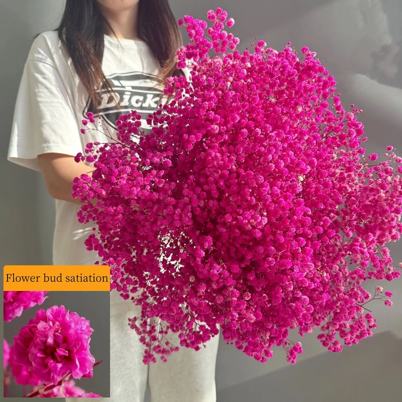 Bluejw Outlet Wedding Decor – Dried Baby's Breath Bouquet | Natural Preserved Gypsophila Flowers for Rustic & Boho Arrangements | Long-Lasting Dried Plants for Home & Event Decoration - Image 3