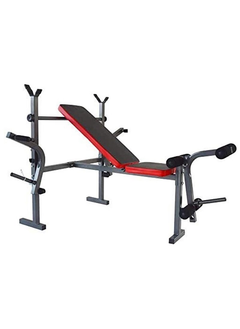 Generic - Multifunction Adjustable Weight Bench Press + Chest Fly + Leg Developer - Image 1