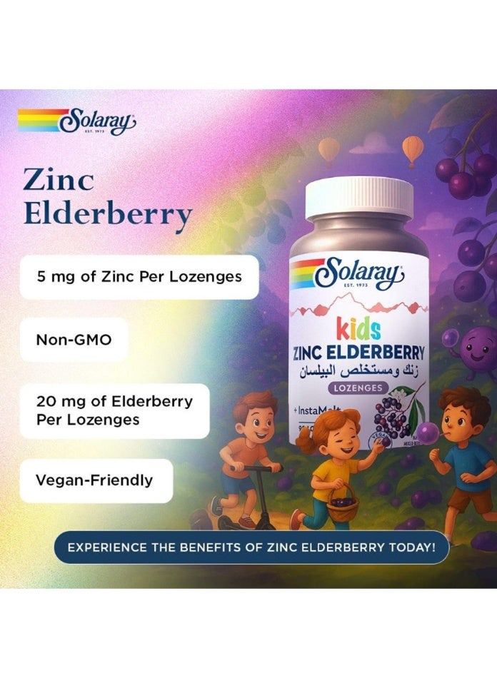 Solaray Kids Zinc Elderberry Instamelt - 90 Lozenges - Image 5
