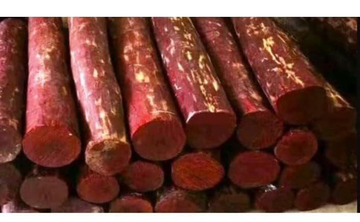 SandalSilk Pure RED Sandalwood StickLAL ChandanNatural Chandan LKDIRAKT Chandan Stickred Saunders Pack of 2 - Image 2