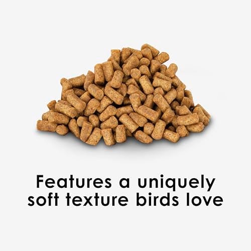 Kaytee Nutri Soft Pet Macaw & Cockatoo Bird Food, 3 Pound - Image 2
