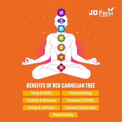 JD FRESH Certified Red Carnelian Crystal Tree for Motivation/Creativity/Confidence/Natural Gemstone Healing Tree for Positive Energy/Courage/Success/300 Beads Stone Bonsai Feng Shui Home Décor Gift - Image 3