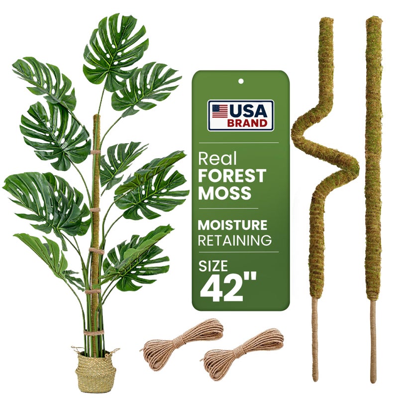K-Brands 2 Pack 42'' Bendable Moss Pole Monstera Plant Support - Real Forest Moss for Climbing Indoor Plants - Stakes for Potted Climbers - Tall Sticks Indoor Trellis for Houseplants - Pot Accessories - Image 1