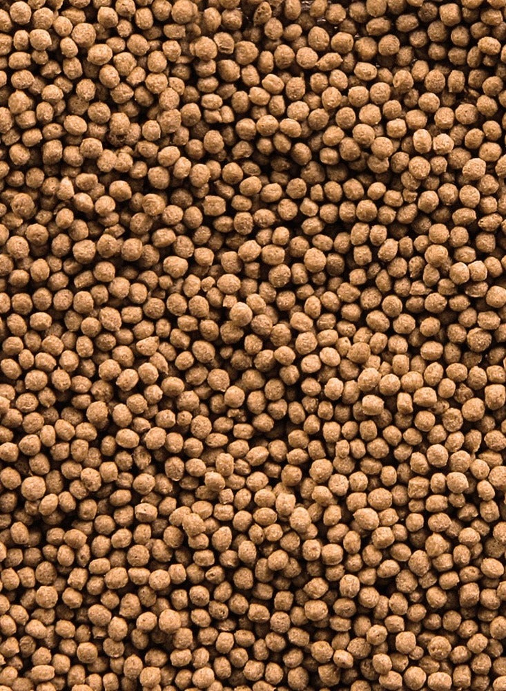 Sera Goldy Granules Nature 1000ml - Image 4