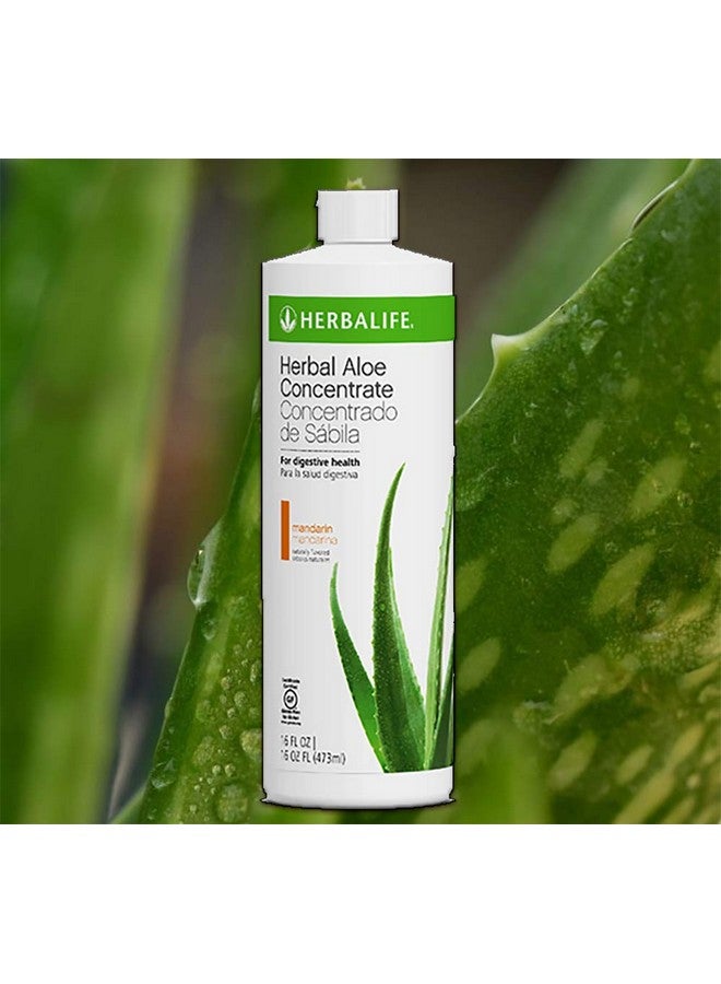 HERBALIFE Herbal Aloe Concentrate Mandarin Orange Flavor 16 Oz (1 Pint) 31 Servings - Image 1