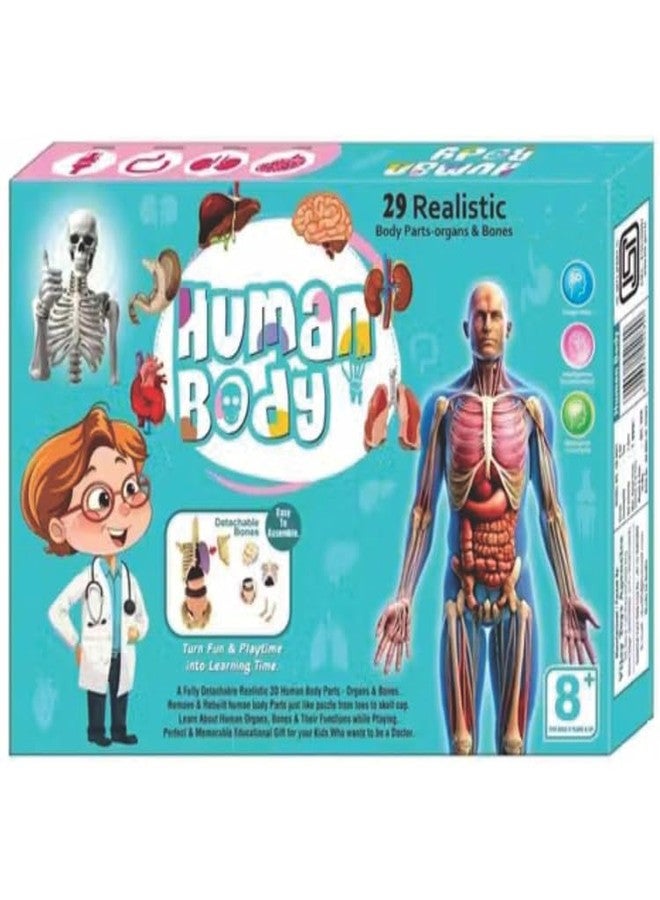 Braintastic 3D Human Anatomy Model Kit for Kids | Educational STEM Science Toy with Removable Organs & Body Parts | Learning Model for Children 8+ Years - Image 1