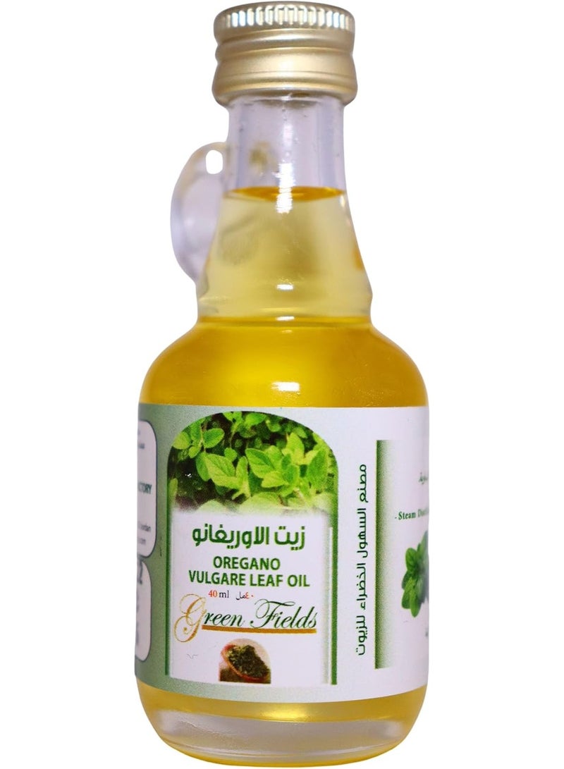 جرين فيلدز زيت الأوريجانو العطري الطبيعي والعضوي 100%، 40 مل - زيت عطري عضوي مقطر بالبخار - زيت عطري عشبي للعافية، مناسب لأجهزة التبخير والتدليك - Image 1