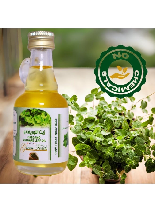 جرين فيلدز زيت الأوريجانو العطري الطبيعي والعضوي 100%، 40 مل - زيت عطري عضوي مقطر بالبخار - زيت عطري عشبي للعافية، مناسب لأجهزة التبخير والتدليك - Image 4
