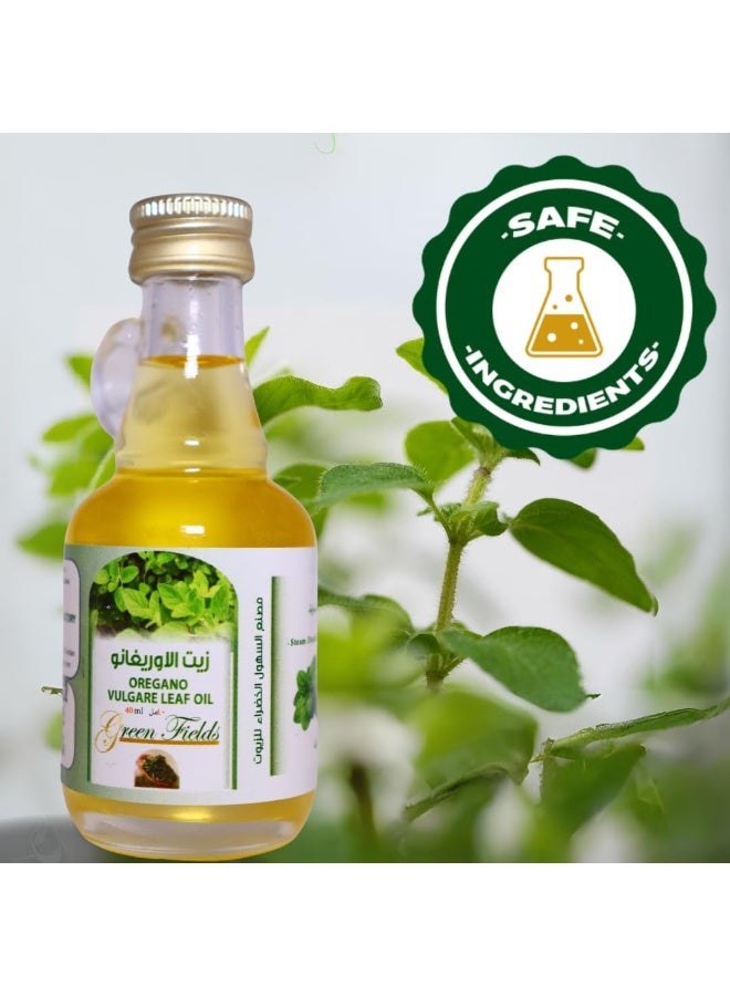جرين فيلدز زيت الأوريجانو العطري الطبيعي والعضوي 100%، 40 مل - زيت عطري عضوي مقطر بالبخار - زيت عطري عشبي للعافية، مناسب لأجهزة التبخير والتدليك - Image 3