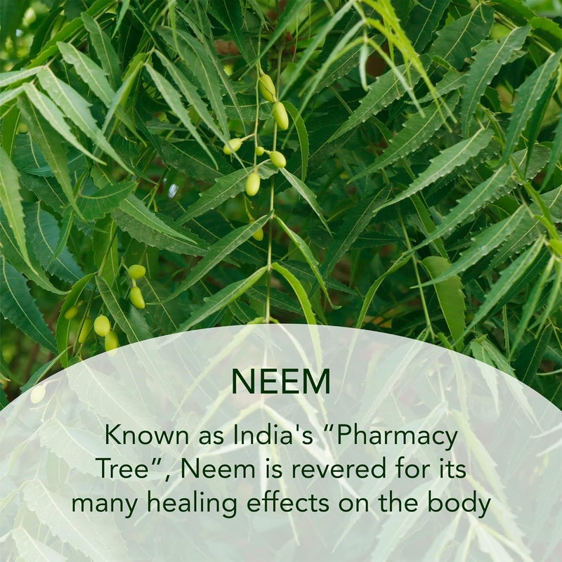 Sundari Neem Night Cream - Intense Moisturizing Treatment for Radiant Skin - Image 5