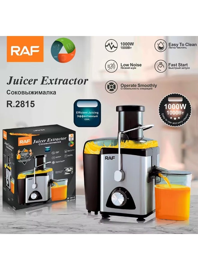 آر إيه أف عصارة R.2817 قوية - محرك 1000 واط، سعة 450 مل، عصارة من الفولاذ المقاوم للصدأ للفواكه والخضروات - Image 3