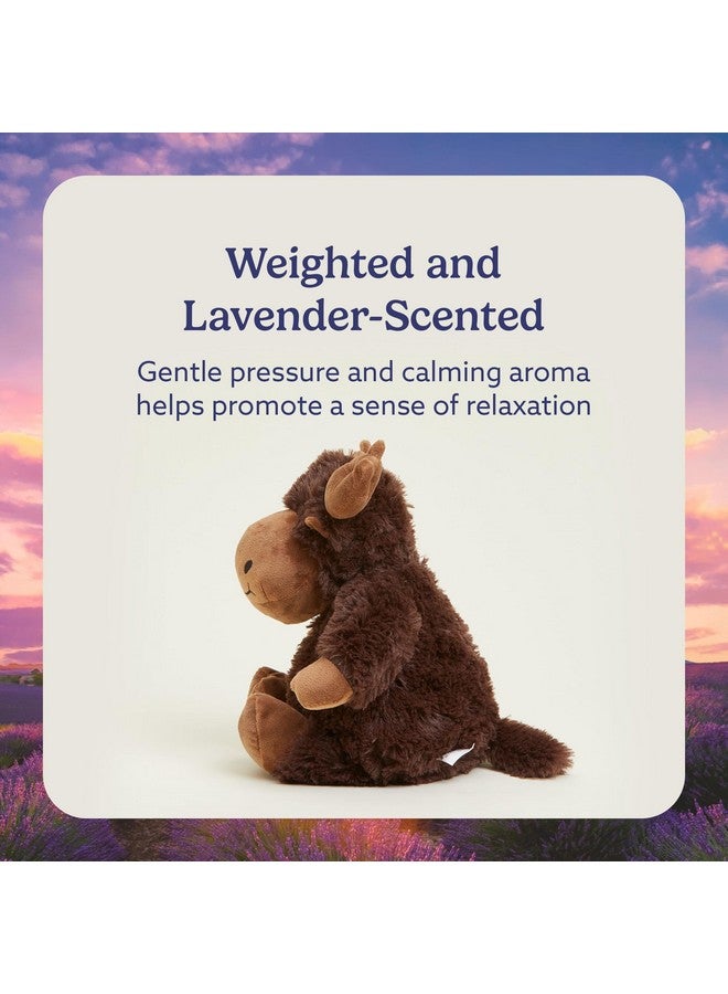 warmies Microwavable & Weighted Stuffed Animals, Moose - Heated Stuffed Animal Plushie for Warmth & Comfort - Cute Soft Plush Toys for Adults & Children (Boys, Girls, Babies & Toddlers) - Image 3