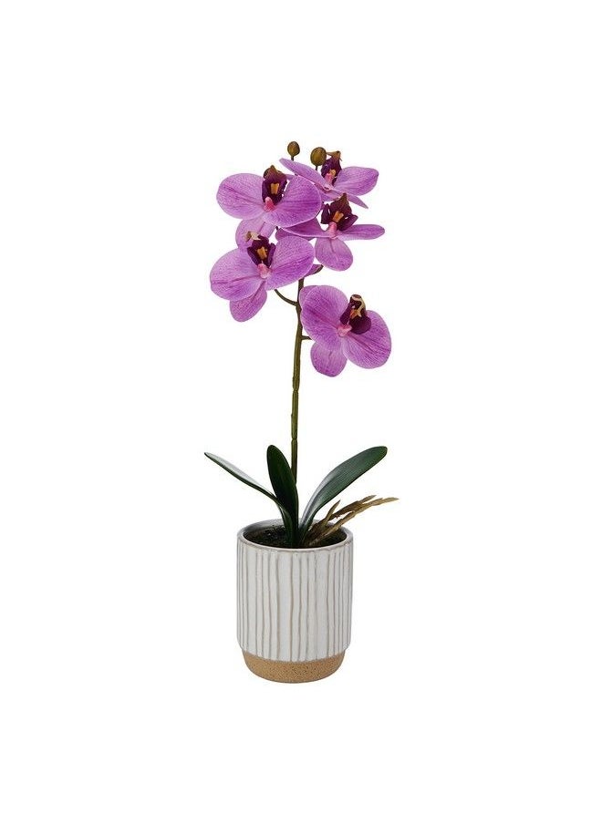 Artificial Orchid In Pot Real Touch Phalaenopsis Orchid Cream Glaze Ceramic Pot 16Inch Single Branch Fuchsia - pzsku/Z6CD50E418CE3F10BA1F1Z/45/_/1693548193/ead49d9b-2da5-4e70-8fc0-3e4bbc9e0fcb