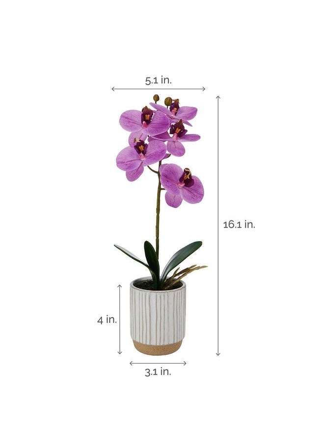 Artificial Orchid In Pot Real Touch Phalaenopsis Orchid Cream Glaze Ceramic Pot 16Inch Single Branch Fuchsia - pzsku/Z6CD50E418CE3F10BA1F1Z/45/_/1693548195/dba34750-23d3-4f34-a7ee-3ce1730b77f2