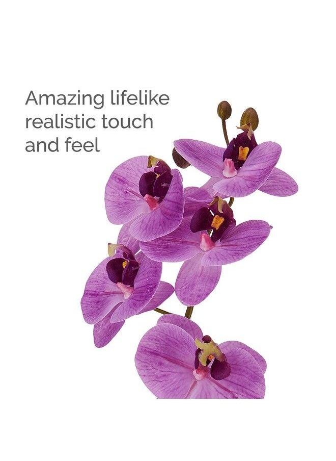 Artificial Orchid In Pot Real Touch Phalaenopsis Orchid Cream Glaze Ceramic Pot 16Inch Single Branch Fuchsia - pzsku/Z6CD50E418CE3F10BA1F1Z/45/_/1693548198/db537107-ae42-4872-93e9-eb4693178f1e