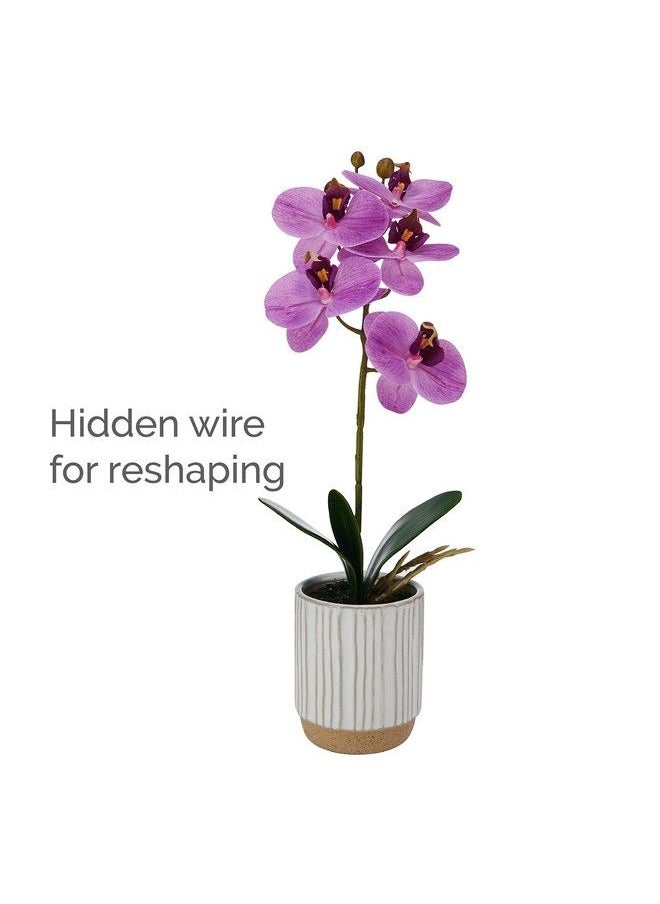 Artificial Orchid In Pot Real Touch Phalaenopsis Orchid Cream Glaze Ceramic Pot 16Inch Single Branch Fuchsia - pzsku/Z6CD50E418CE3F10BA1F1Z/45/_/1693548200/75641b51-d062-421d-8913-202f45920614