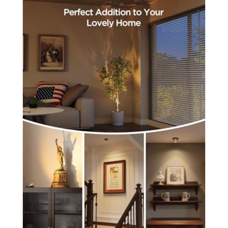 Spot Lights Indoor Led Spotlight: Rechargeable Battery Wireless Up Lights Indoor - Plants Tree Artwork Portrait Picture Display Accent Lighting for Home Decorators Homeowners Art Collectors 1 Pack - Image 5