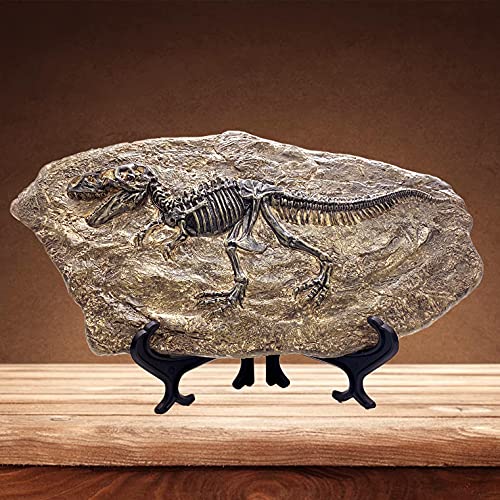 XINDAM Resin Tyrannosaurus Rex Dinosaur Fossil Statue Model Simulated Skeleton Home Office Display Decorative Craft Box Decoration Style 5 - Image 1