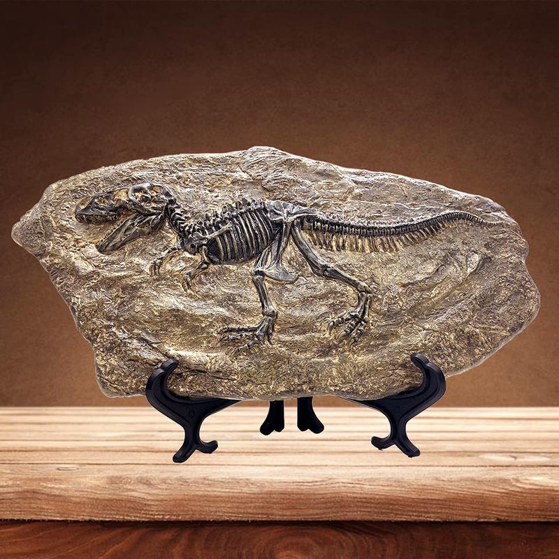 XINDAM Resin Tyrannosaurus Rex Dinosaur Fossil Statue Model Simulated Skeleton Home Office Display Decorative Craft Box Decoration Style 5 - Image 2