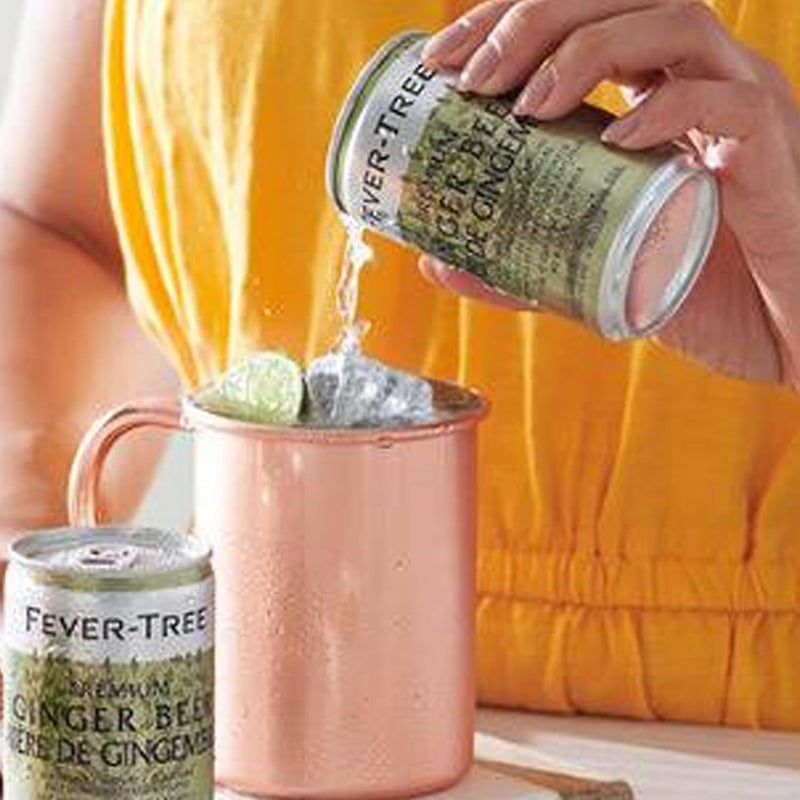 FEVER TREE Fever-Tree Premium Ginger Beer - Non-Alcoholic Mixer with Natural Flavors - 15 x 150ml Cans - Image 5