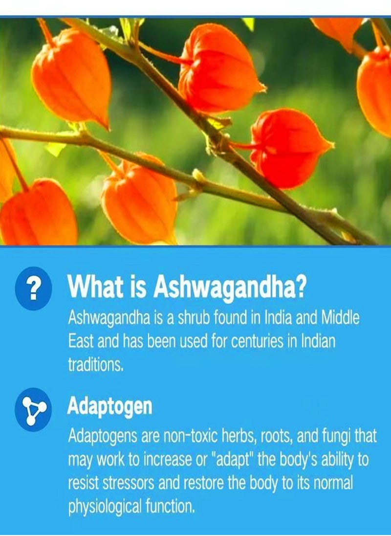 Ashwagandha  Gluten-free Mixed Berry Gummies Reduce Stress Support Sleep Muscle Strength Vitamin D/C Vegan Gummy 60pcs