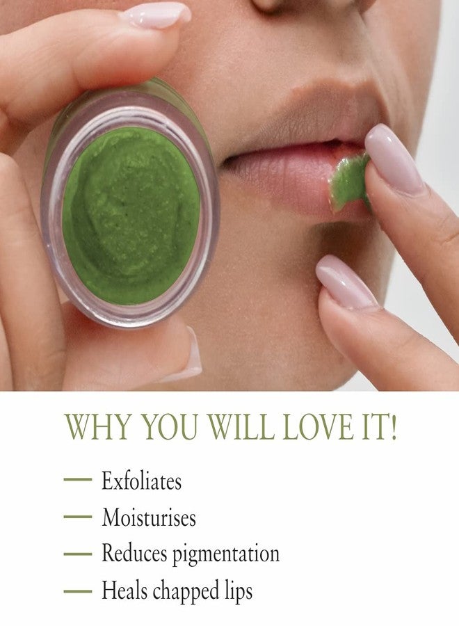 جاست هيربز مقشر شفاه مرطب عضوي من جست هيربس بخلاصة العرقسوس للشفاه الجافة والمتشققة والمدخنة - خالٍ من كبريتات لوريل الصوديوم والبارابين، بنكهة النعناع 15 جم - Image 3