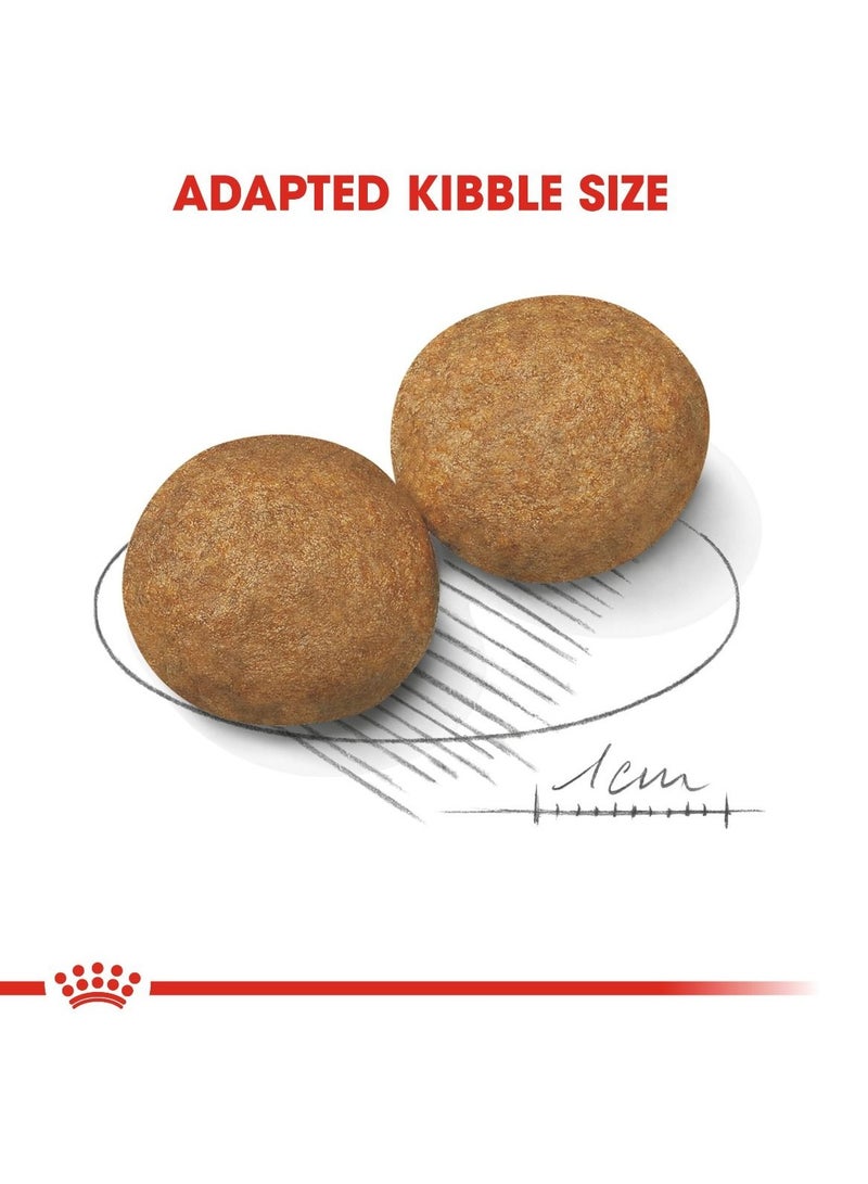 رويال كانين سايز هيلث نيوتريشن للكلاب البالغة متوسطة الحجم 10 كجم - Image 2