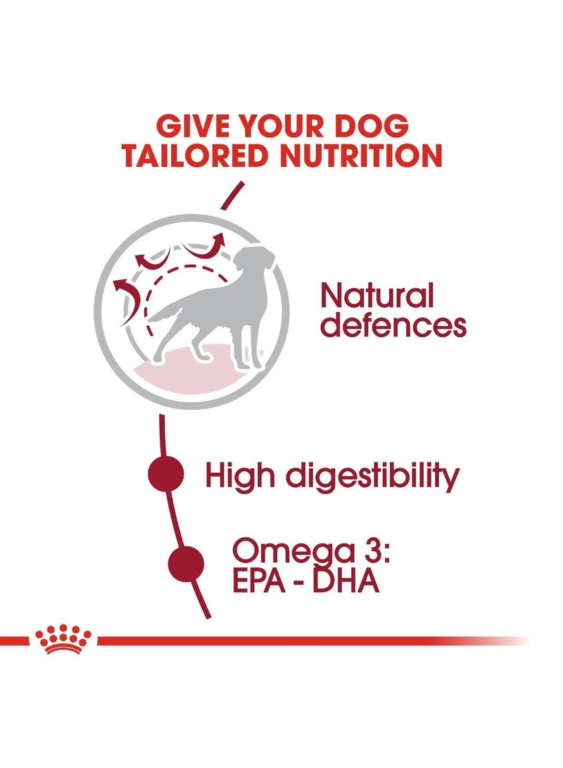 رويال كانين سايز هيلث نيوتريشن للكلاب البالغة متوسطة الحجم 10 كجم - Image 4