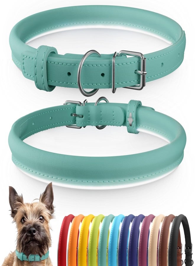 CollarDirect Reflective Rolled Leather Dog Collar, Soft Padded Round Puppy Collar, Handmade Genuine Leather Collar Dog Small Large Cat Collars 13 Colors (8-11 Inch, Mint Green Reflective) - Image 1
