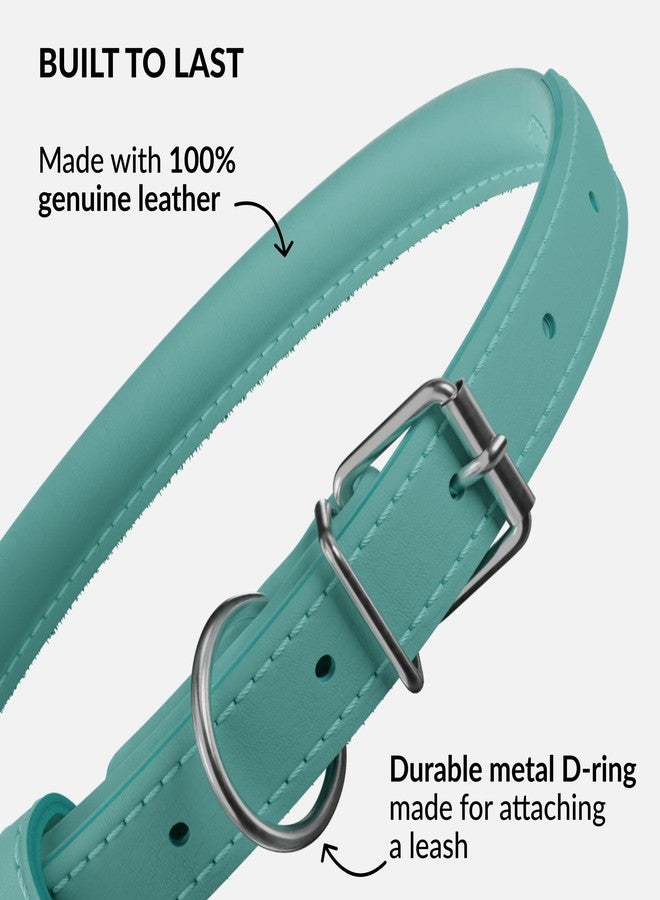 CollarDirect Reflective Rolled Leather Dog Collar, Soft Padded Round Puppy Collar, Handmade Genuine Leather Collar Dog Small Large Cat Collars 13 Colors (8-11 Inch, Mint Green Reflective) - Image 3