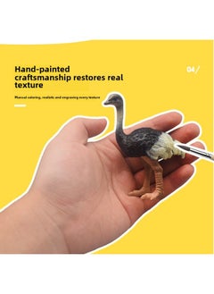 Generic 仿真动物模型玩具鸵鸟动物百科鸵鸟幼崽野生动物儿童玩具跨境夜市-颜色:公鸵鸟  - Image 4